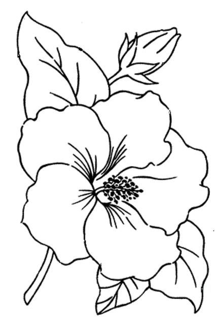 Pretty Pictures Of Flowers To Color Pretty Pictures Of Flowers To Color