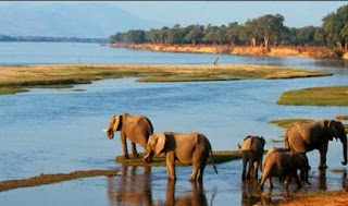 Sungai Zambezi Sungai Zambezi