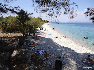 duba pljeska peljesac