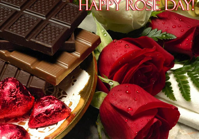 Rose Day Images Rose Day Images