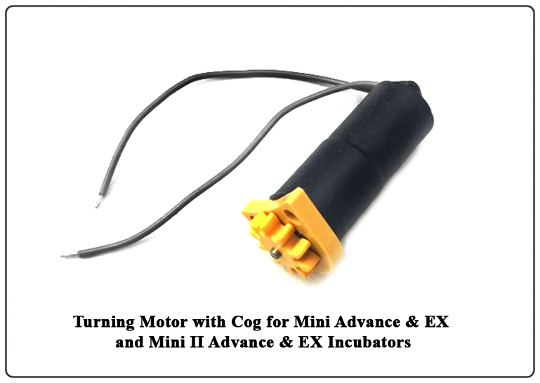 Othouq Incubator Spare Parts