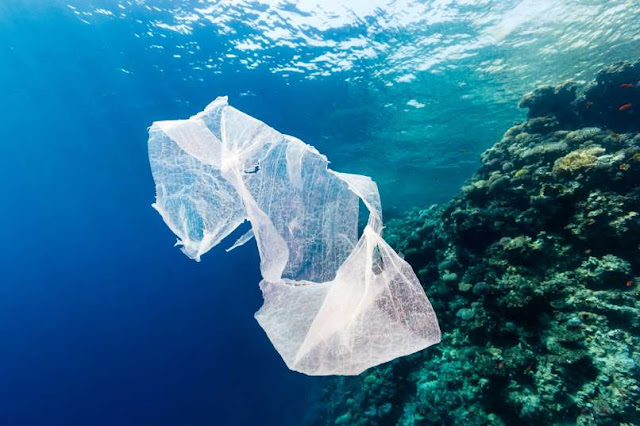 Pada Tahun 2050, Plastik di Laut Akan Lebih Banyak Daripada Ikan Peningkatan Jumlah Plastik Akan Berdampak Buruk Bagi Laut, Hewan dan Manusia Pada 2050
