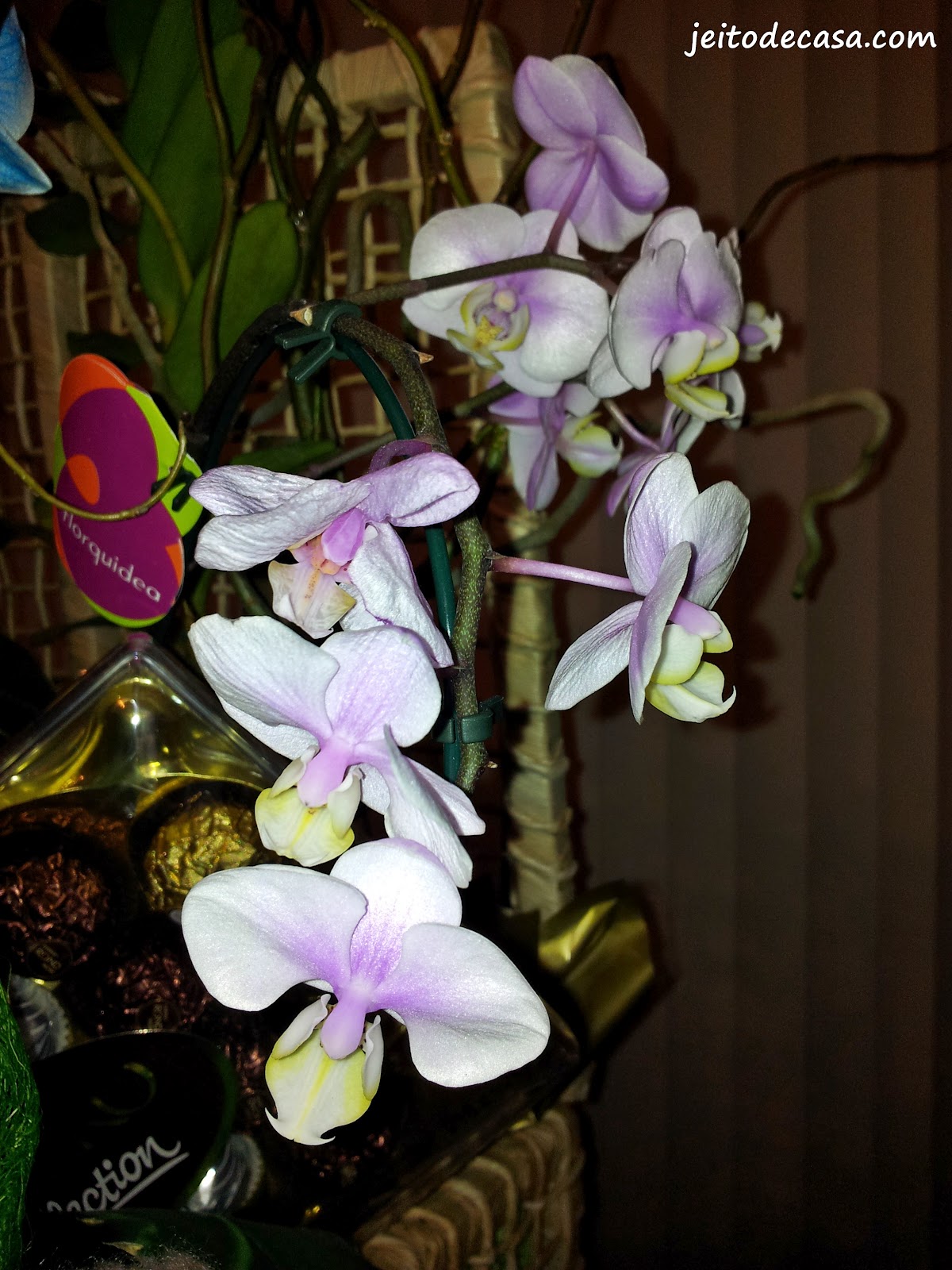 Arranjo de orquídeas! - Jeito de Casa - Blog de Decoração e Arquitetura