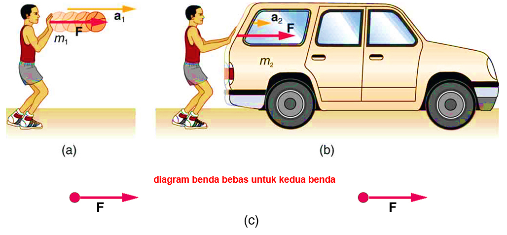 Hukum II Newton - Biology Page