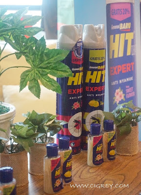 Melindungi Keluarga Dari Nyamuk Bandel Dengan HIT Expert_hit