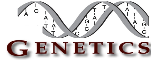 Gene def here - आनुवांशिकी मानव के वंशानुगत गुणों को कैसे परिभाषित करती है