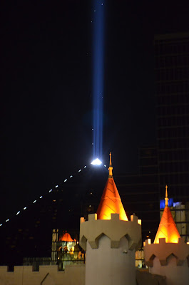 Bugs reflecting the light at the Linx (Photo by Trisha Field)