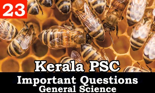 Kerala PSC - Important and Expected General Science Questions - 23