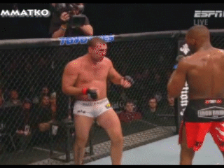 shogun+taps.gif,