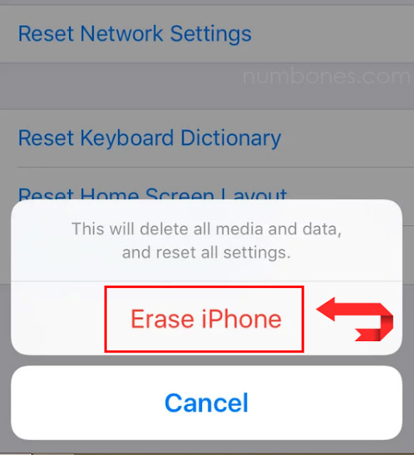 Step 2 | How to Reset Any iPhone Models with 4 Easy Steps