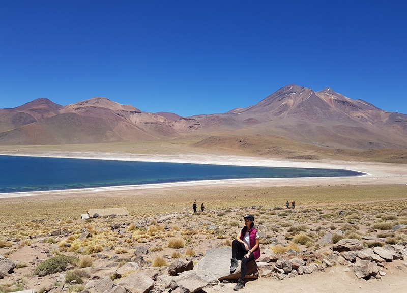 Atacama: Lagunas Altiplânicas e Salar de Atacama