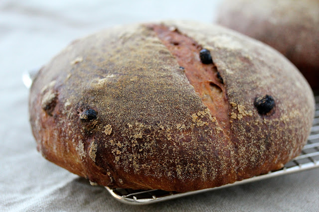 Sourdough bread with walnuts and raisins