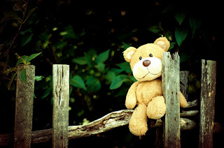 Teddy Bear Images Teddy Bear Images