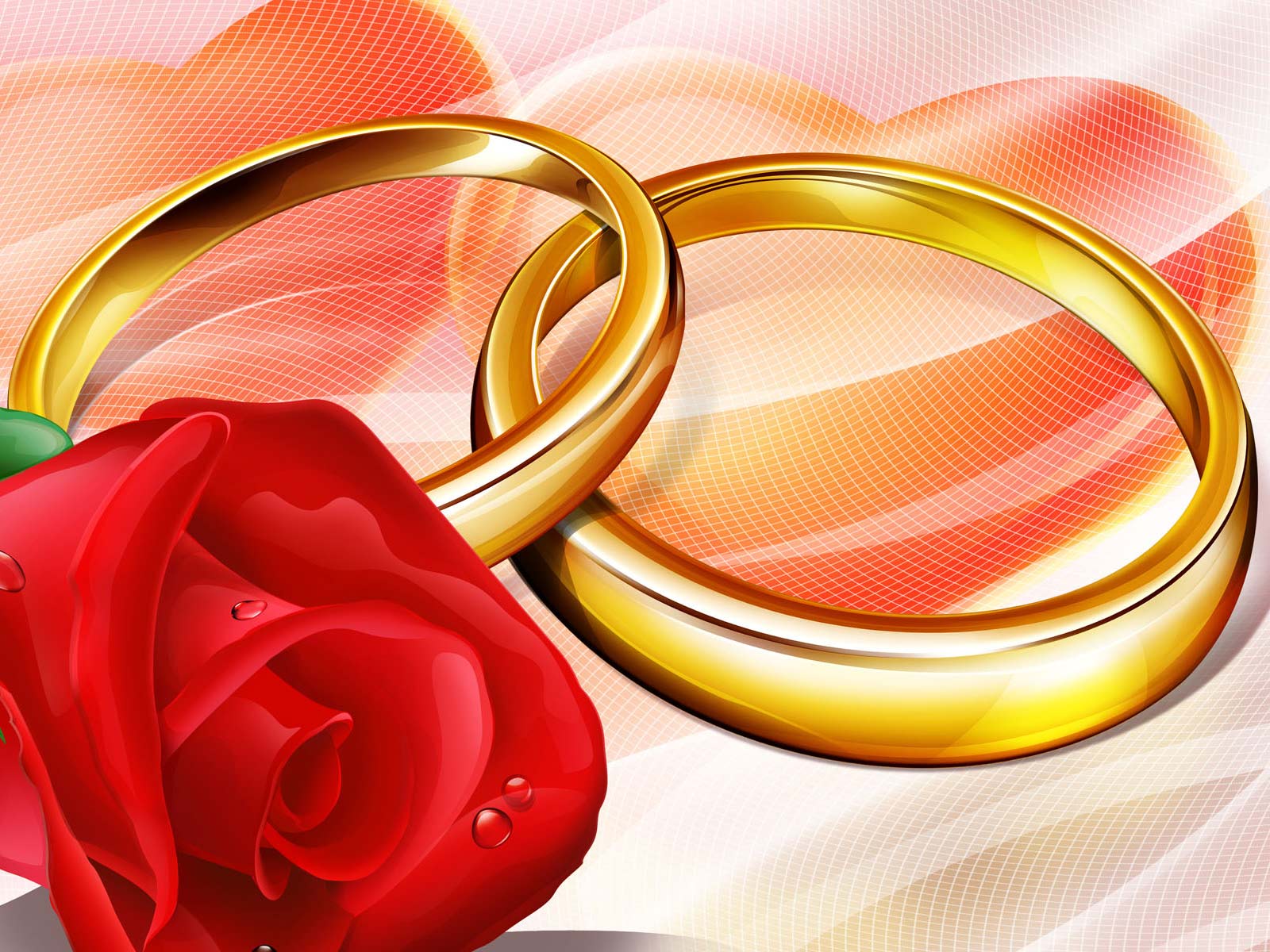 Vahoha.com: Wedding backgrounds Designs
