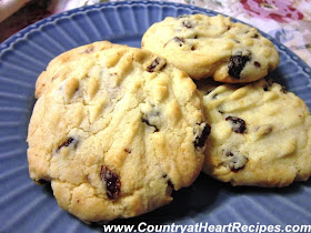 Raisin Crisscross Cookies