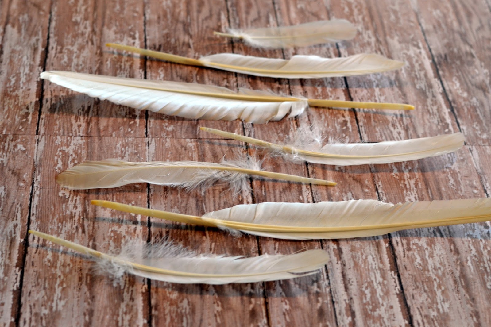 Gold painted goose feathers