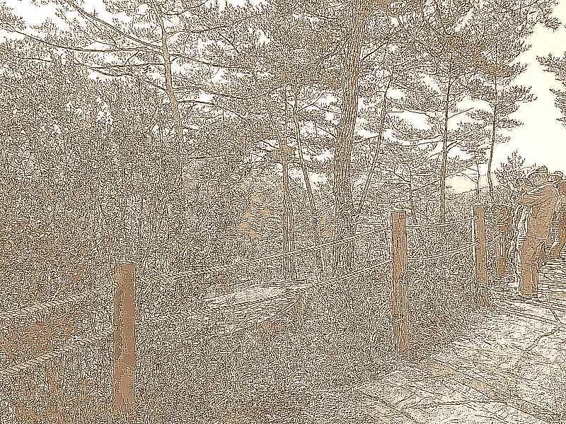 화순 영구산 운주사 화순 영구산 운주사