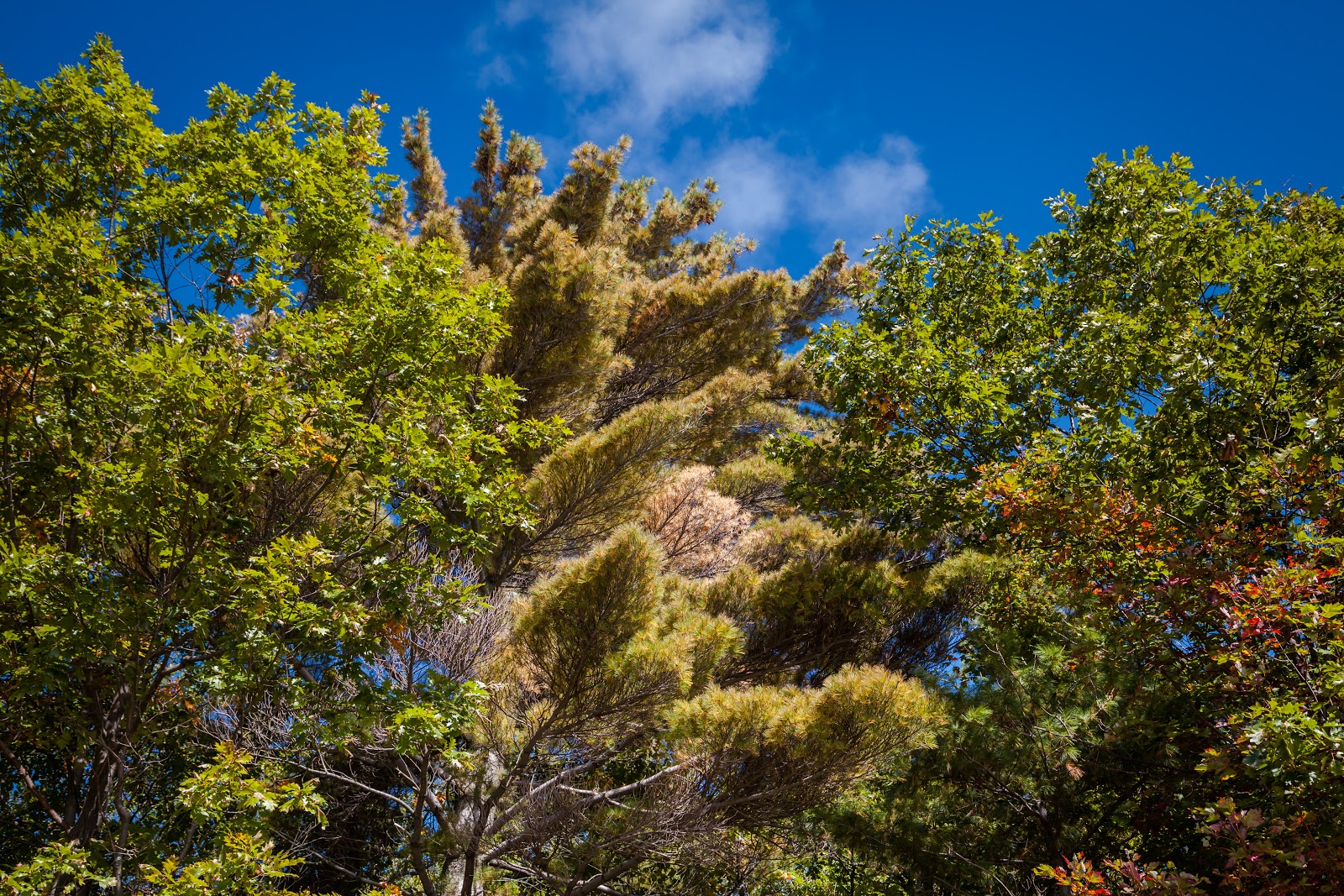 30,000 Islands of Bay The Largest Freshwater Archipelago