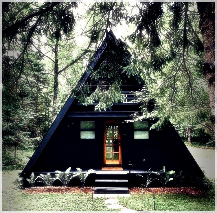 CabinLife-98877862533