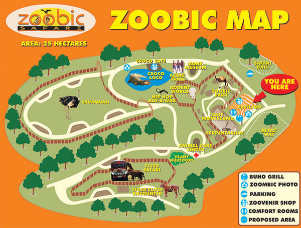 zoobic safari schedule