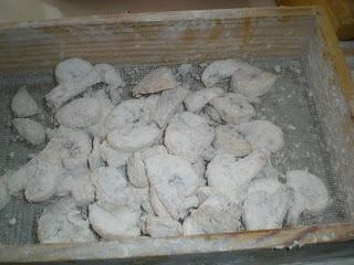 DSCN9430.JPG