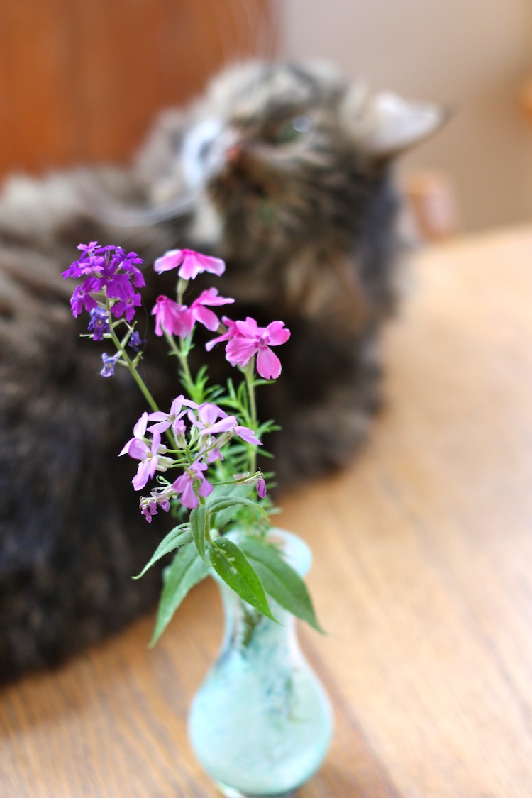 ben and birdy Fried Eggs with Sizzling Vinegar