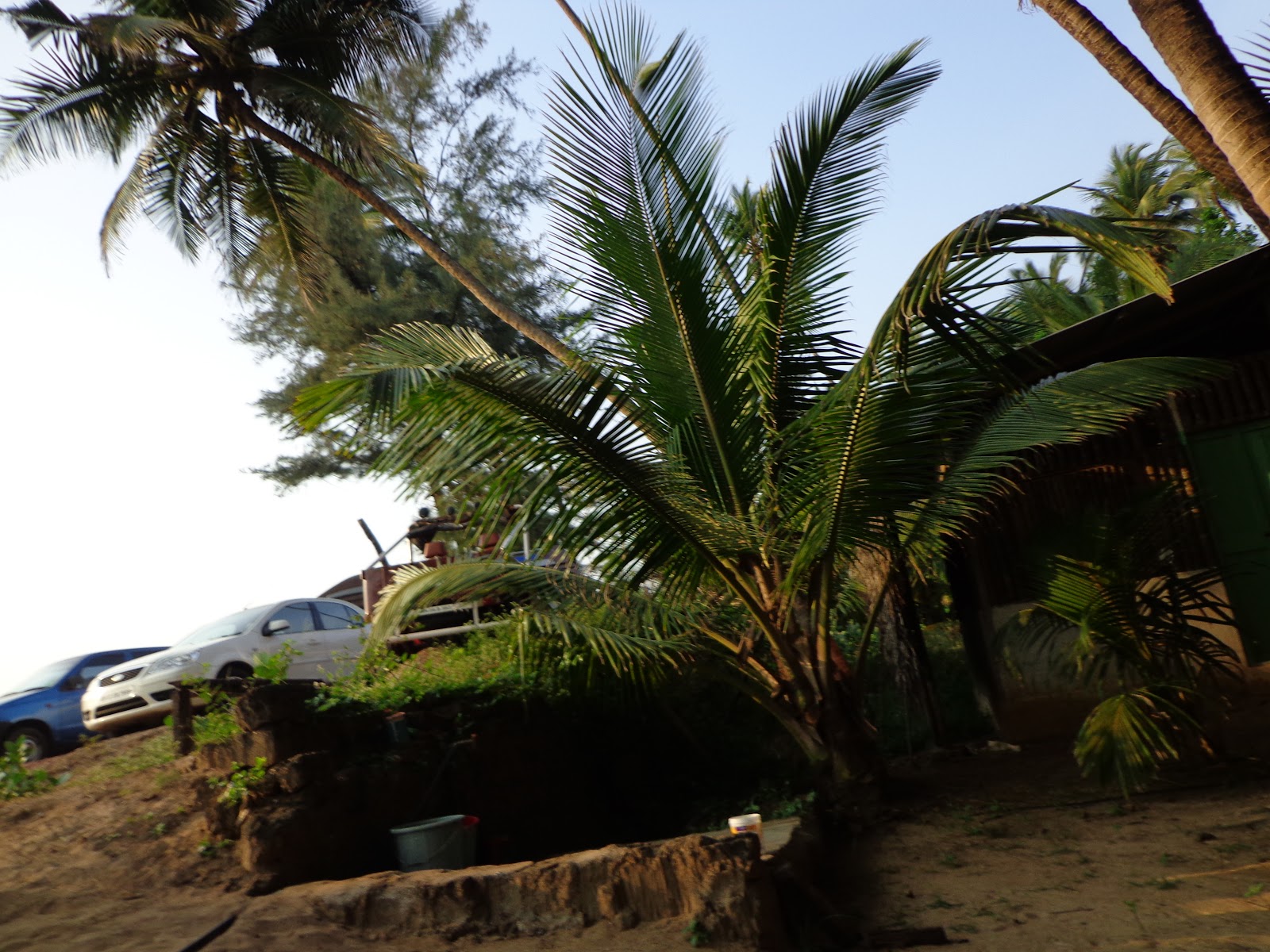 Wanderlust Gowalkot Beach