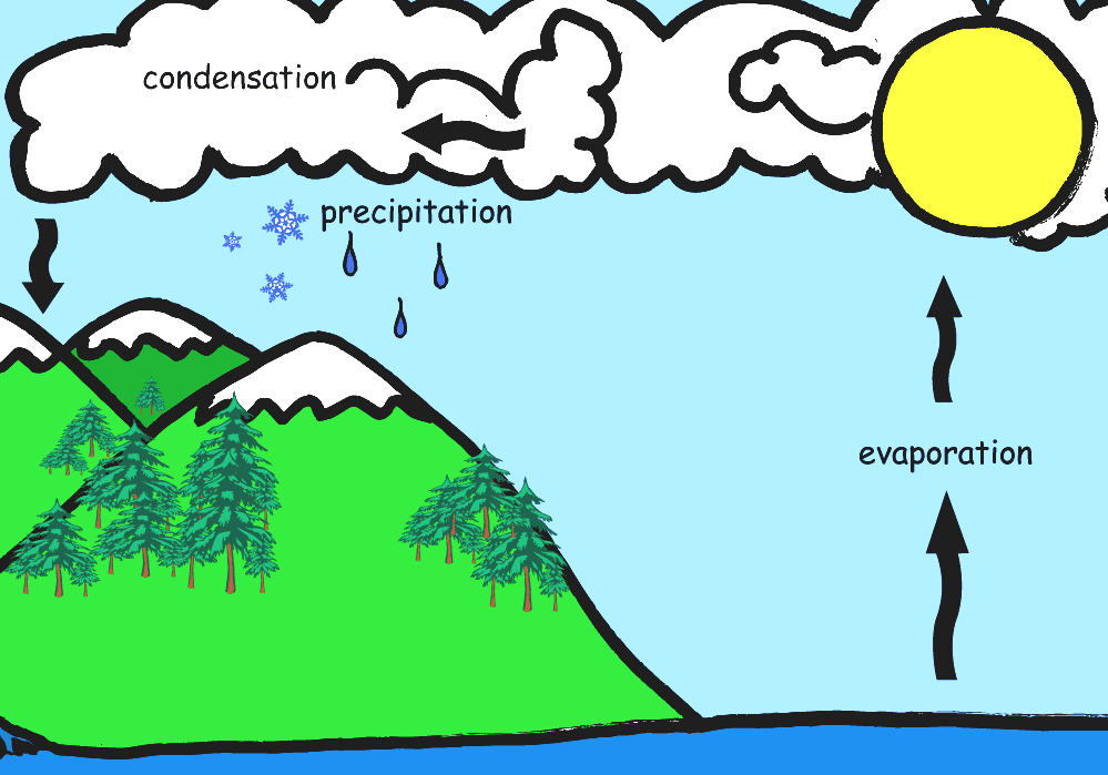 Water Cycle Easy Water Cycle