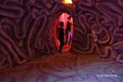 human body adventures