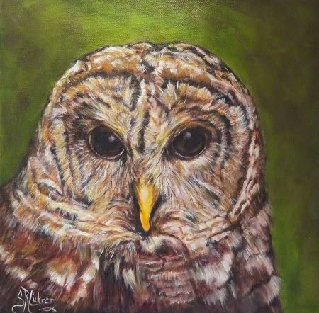 "Hoots and Hunter", Barred Owl in oils