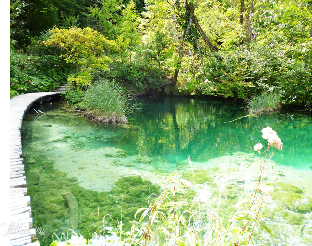 road-trip-croatia-lake-lacs-plitvice road-trip-croatia-lake-lacs-plitvice