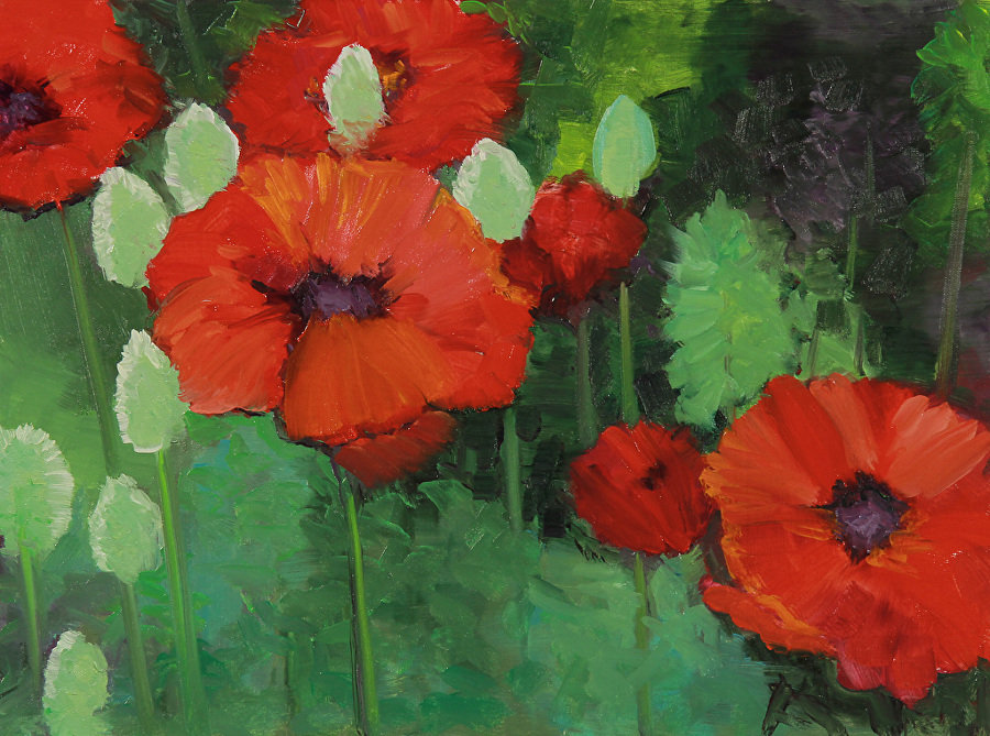 Landscape Artists International Landscape Oil Painting, Red Poppies