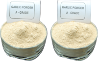 Exporter of Dehydrated Garlic Powder in India