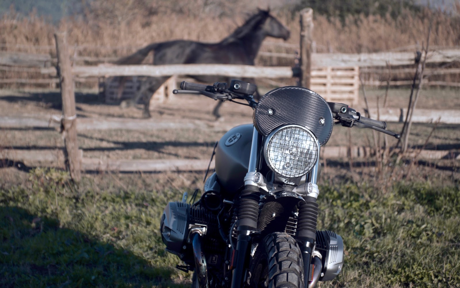 Land Scrambler by Luis Moto - Inazuma café racer