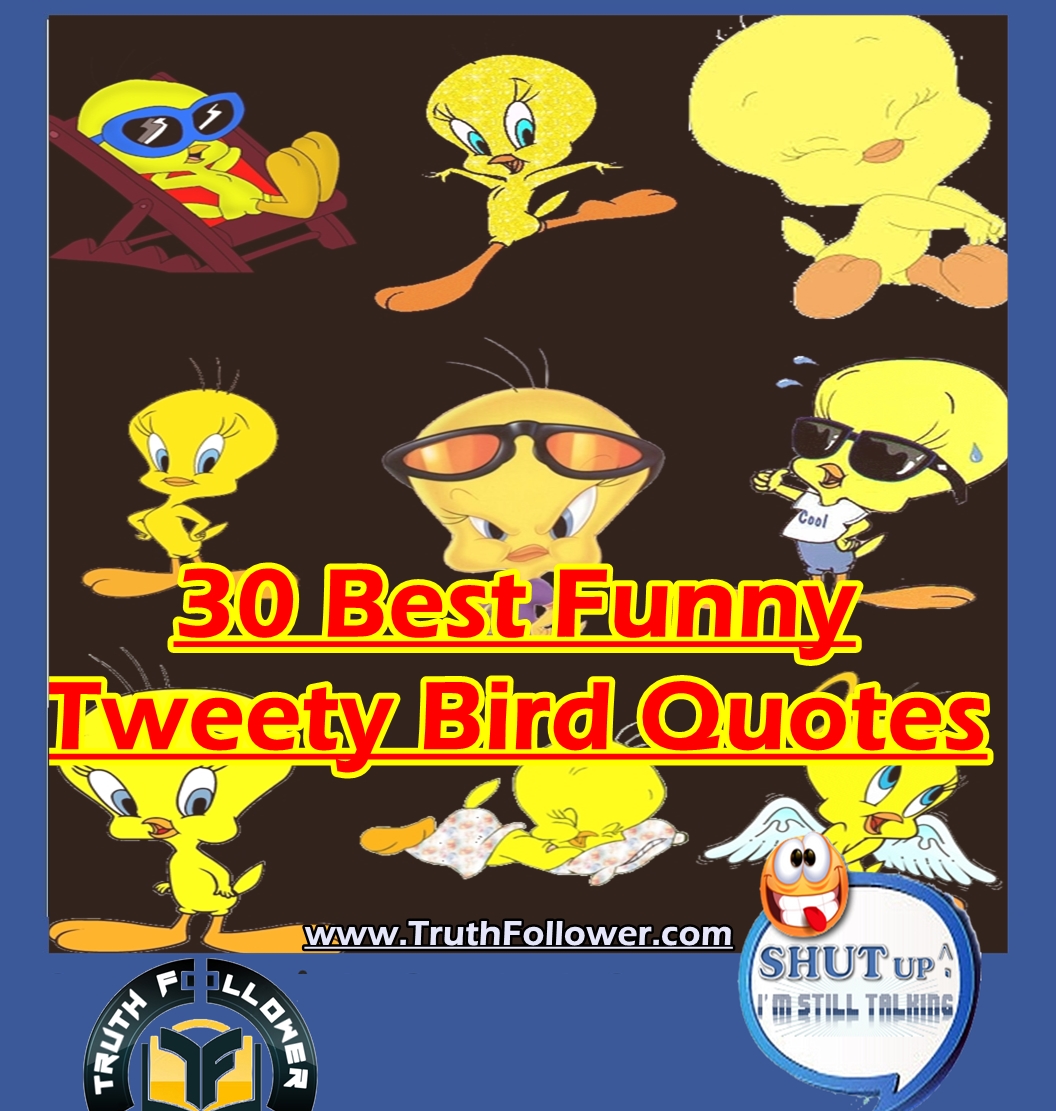 funny dating advice quotes images clip art online funny dating advice quotes images clip art online