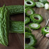 AMPALAYA Plant Can Treat Diabetes and Prevent Cancer