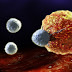 The Cancer Dies When You Eat These 7 Foods .Time To Start Eating Them!