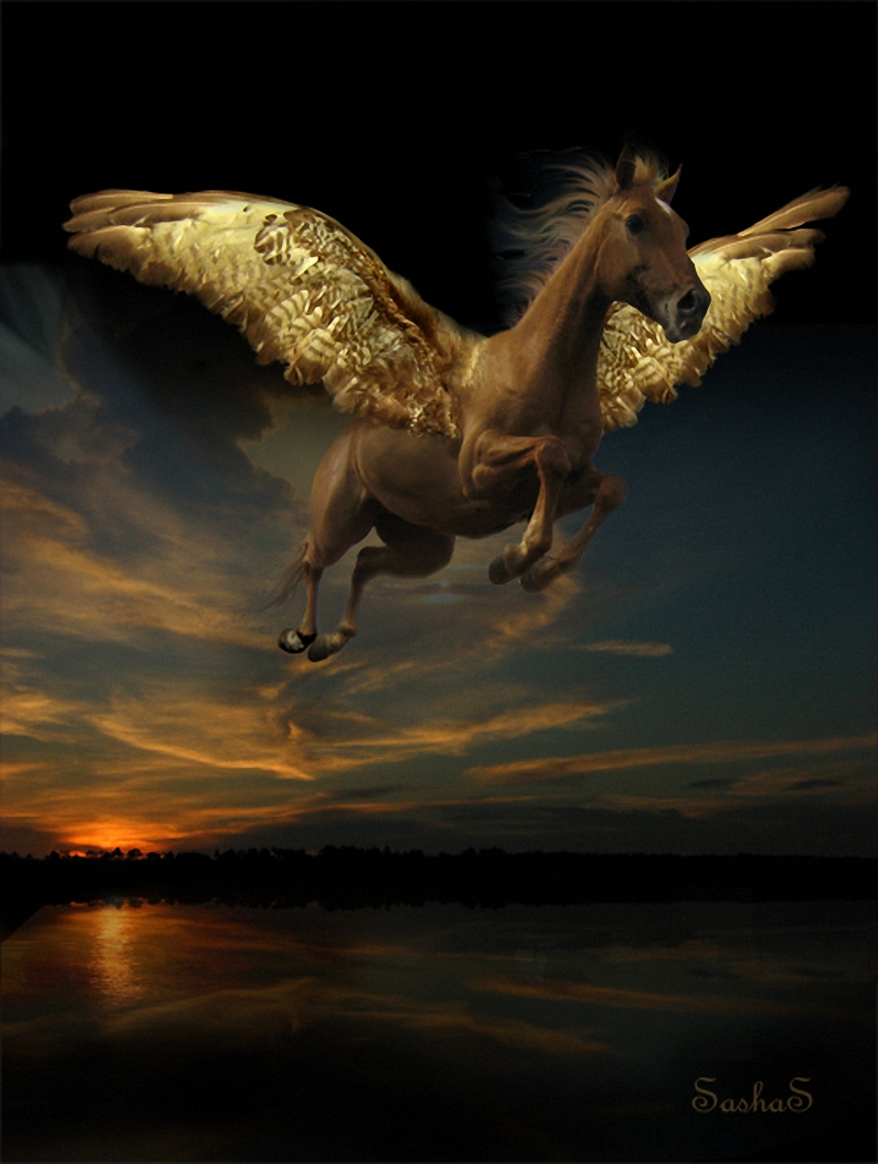 Отец крылатого коня пегаса. Летающая лошадь. Конь с крыльями. Пегас лошадь. Крылатый конь Тулпар.