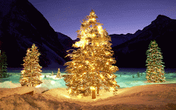 christmas animated merry amazing hd awesome wallpapers latest most fresh collection trees twinkle part22 greetings wishes
