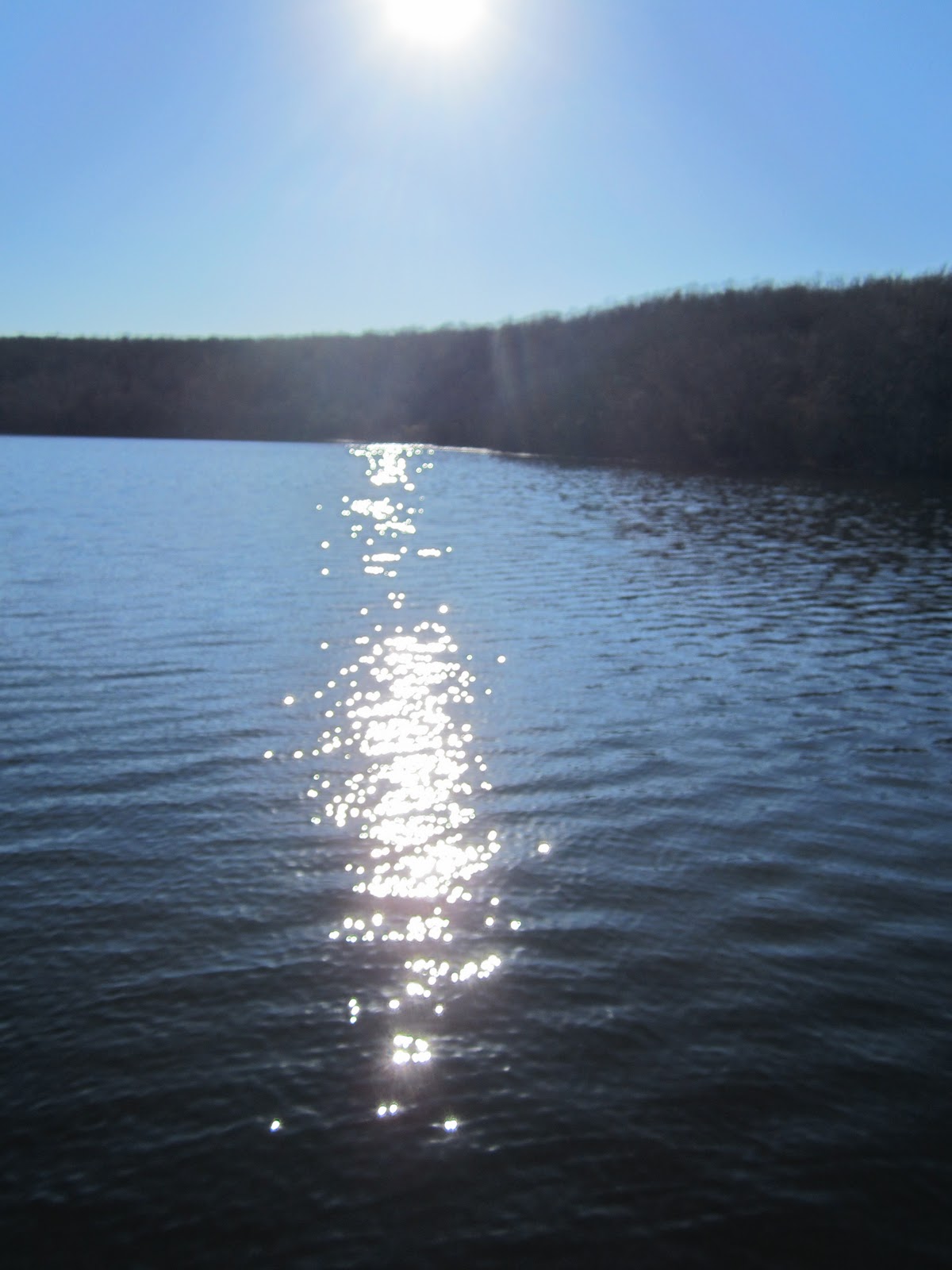 BikeRunBeer Lake Bixhoma and Stone Bluff