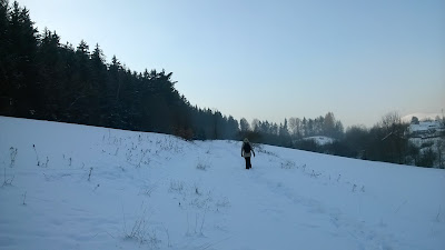 szlak zielony do Ludwikowic Kłodzkich