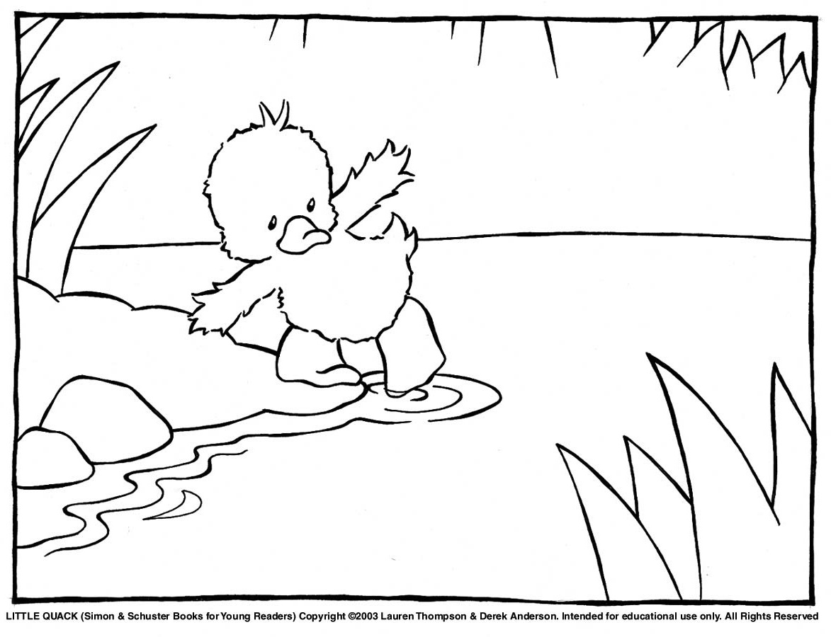 zack and quack coloring pages - photo #11