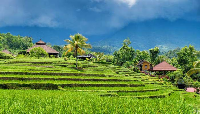 Tempat Wisata Terbaik Di Gianyar Pulau Bali  