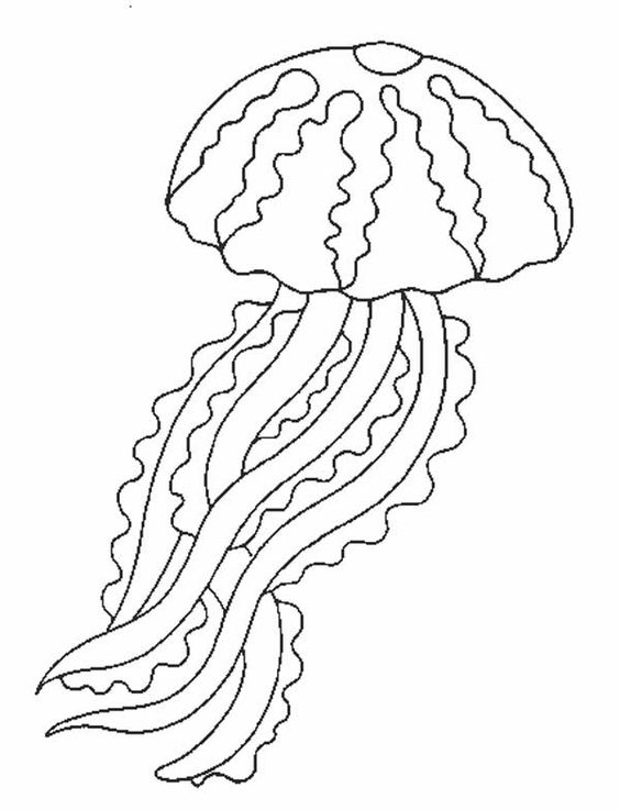 Tranh tô màu con sứa biển