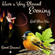 Good Evening Good Evening
