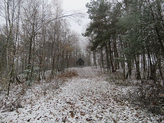 Kaplica widoczna z przecinki. Kaplica widoczna z przecinki.