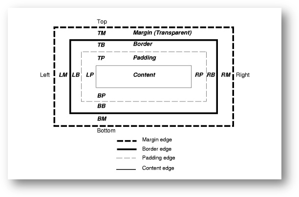 CSS Box Model ~ BUITEMS LEARNING POINT