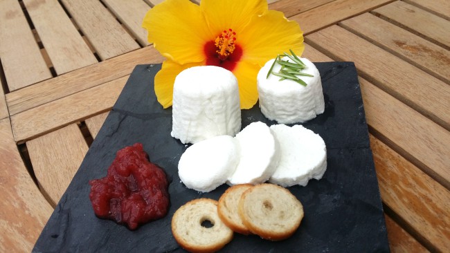 Queso Fresco