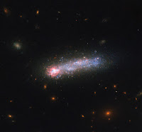 LEDA 36252 Galaxy