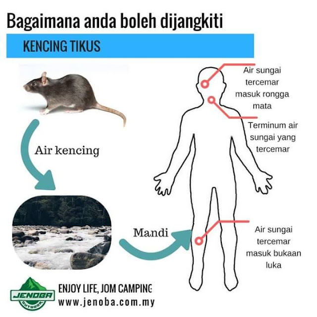 Apakah Sebenarnya Yang Kita Cari Dalam Perjalanan Ini? AWAS penyakit